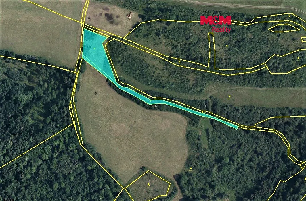 Prodej louky 4385 m²